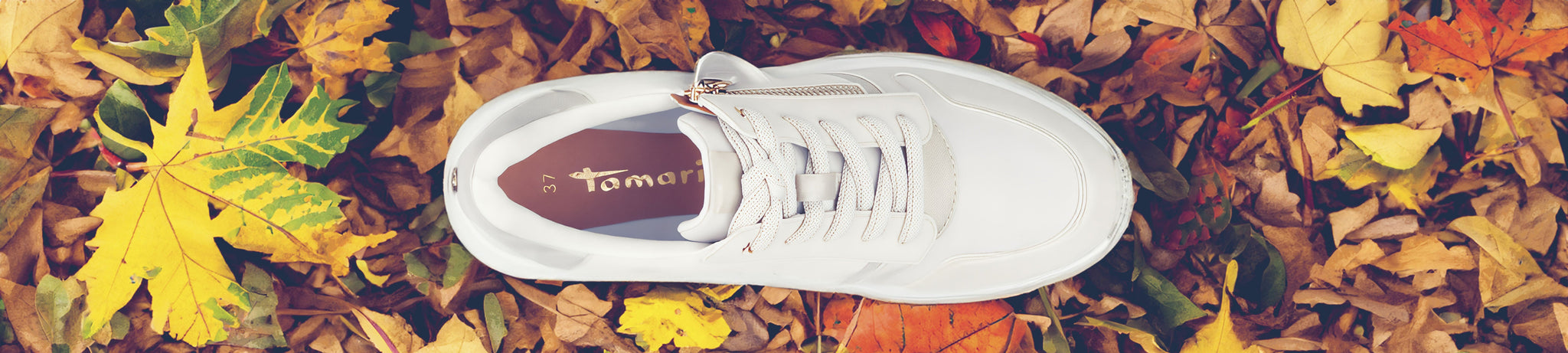 Winter Shoe Clearance